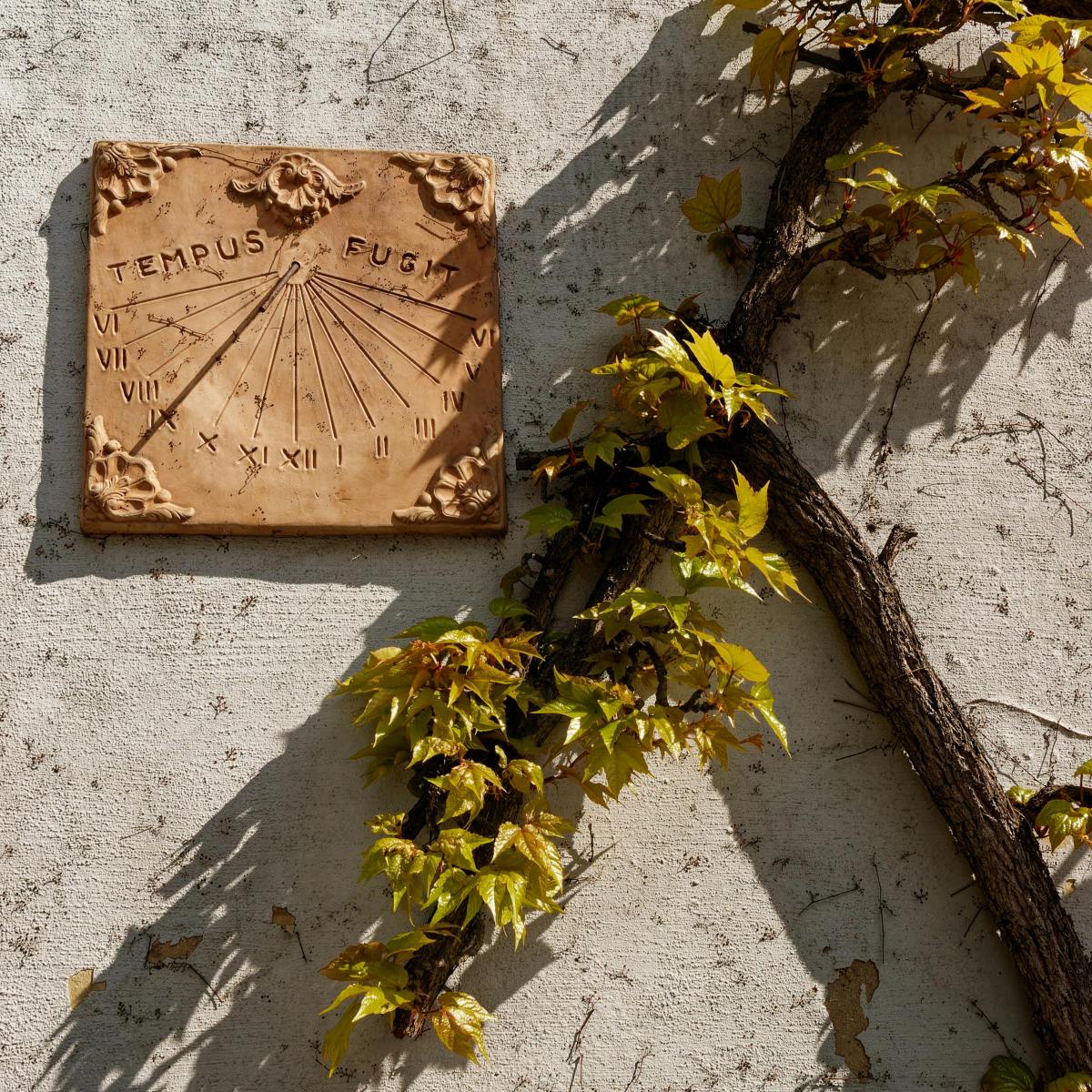 Adventures in Time Translation 